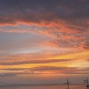 당신의안목 그라스 이미지