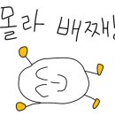 안골 포레스트 네이버블로그