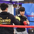 더아트복싱클럽 이미지