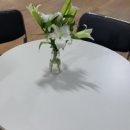 백두권투체육관 이미지