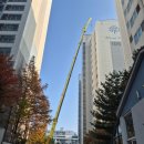 강릉굿모닝 이미지