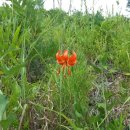 벌교원동 이미지