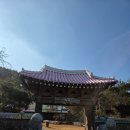 마당식당 | 🌿 나주 카페마당 방문 후기｜룸식당 분위기 맛집?