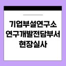 사업장부설 | 기업부설연구소 현장조사 후기｜실사 준비부터 보완사항 처리