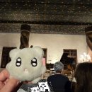 더X콘서트[모차르트 온 더 로드] | [오스트리아]호엔잘츠부르크 콘서트 vs 비엔나 카를성당 콘서트 후기