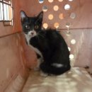 구의시장삼거리 이미지