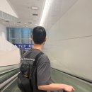 국태가든 | [대만, 타이베이] 춘절 타이베이 미식 여행 1일차