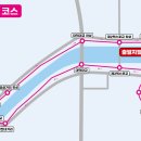 마라톤대회 D-3 준비사항: 코스 미리보기, 참가 후기, 마라톤 준비, 하프마라톤, 마라톤 코스, 대회...