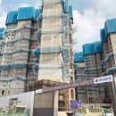 대광농장 2농장 이미지