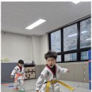 거룡태권도2관 이미지