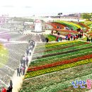 새천년여행사