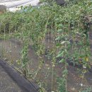 모하마을회관 이미지