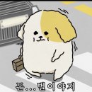 삼촌은 마술사야 | 1월 결산(2)