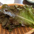 쌍둥이돼지국밥 본점 Daum카페