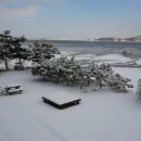 해변의 꿈 이미지