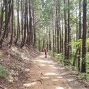 주례백양공원 이미지