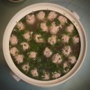 대림중학교 | [구디/대림 중식당 맛집] '복만루' 중국 현지인이 직접 운영하는 정통 로컬 중화요리 전문점