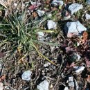 구암리경로당 이미지