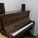 한국K-POP고등학교 이미지