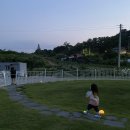 강릉애견하우스 이미지