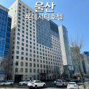 울산 롯데시티호텔 이용후기 신라스테이 비교
