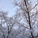 상전체련공원 이미지