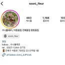 수니플레르 | 진해 석동 꽃집 추천 수니플레르 내돈내산 방문 솔직후기