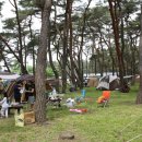 송림자동차정비 이미지