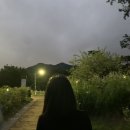 도원공원 농구장 이미지