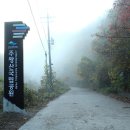 주산지 주차장 이미지