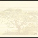 부산연제우체국 이미지