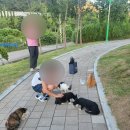 동물자유연대 부속 동물병원 | [동물자유연대] 쓰담쓰담지원후기