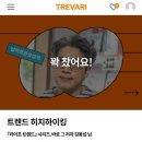 히치하이킹클럽 이미지