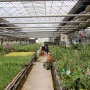 재희농장 이미지