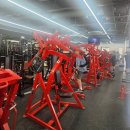 카인드짐 24시 휘트니스&스쿼시 | 과천헬스 추천, 카인드짐24시휘트니스&amp;스쿼시과천점 솔직 후기