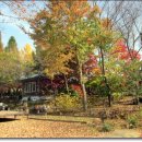 산이네집 이미지