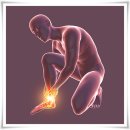 일등정형외과의원 이미지