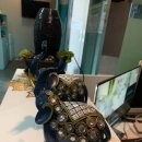 더스포츠샵 이미지