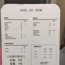 네일바이뉴
