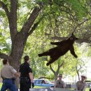 참손길지압힐링센터 이미지