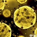 스카다엔지니어링 네이버블로그