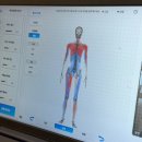 중문한의원 | 용산 필라테스 [진실필라테스] 레슨 후기 (체형분석 + 1:1 코칭)