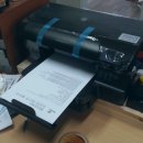 이지태권도스쿨 이미지