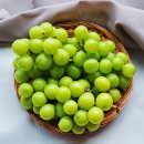 모아팜2 이미지