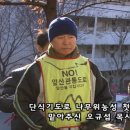 태영천막공사