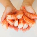 완전농장 이미지