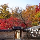 (주)비원비 이미지