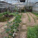 SKJ상경원요양병원 이미지