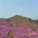 제95차 오부산악회 철쭉 산행 안내(보성 초암산) 이미지