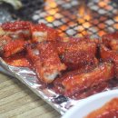 빨간장어 이미지